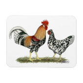 IJslandse kippen Magneet (Horizontaal)