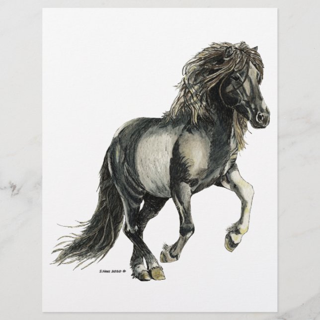 IJslandse merrie Brana (Voorkant)