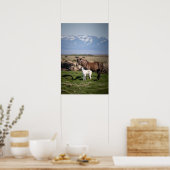 IJslandse merrie en veulen Poster (Keuken)