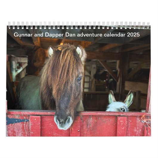 IJslandse paard en mini ezel kalender (Hoes)