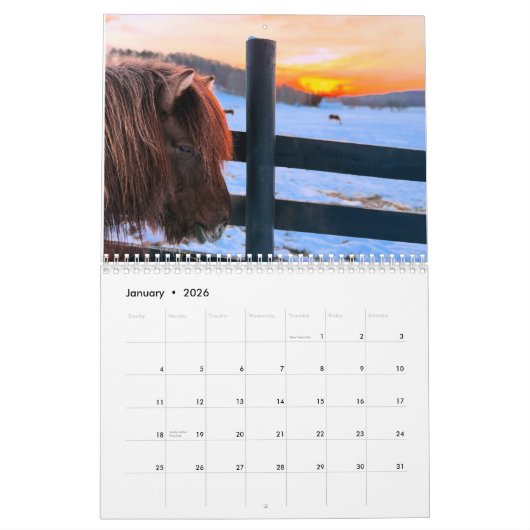 IJslandse paard en mini ezel kalender (Jan 2026)
