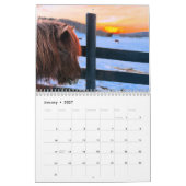 IJslandse paard en mini ezel kalender (Jan 2027)