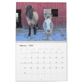 IJslandse paard en mini ezel kalender (Feb 2027)