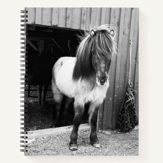 IJslandse Paard spiraal notitieboek (Voorkant)