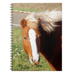 IJslandse paarden 001 Notitieboek