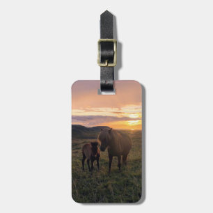 IJslandse paarden - bagagelabel