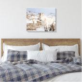 IJslandse paarden | Blonduos, IJsland Canvas Afdruk (Insitu (Slaapkamer))