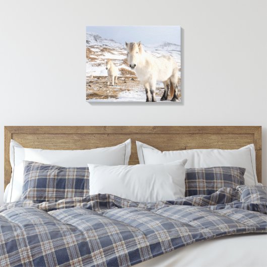 IJslandse paarden | Blonduos, IJsland Canvas Afdruk (Insitu (Slaapkamer))