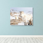 IJslandse paarden | Blonduos, IJsland Canvas Afdruk (Insitu (Houten vloer))