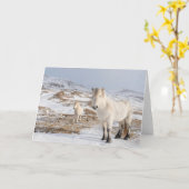 IJslandse paarden | Blonduos, IJsland Kaart (Gele Bloem)