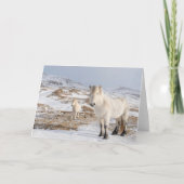 IJslandse paarden | Blonduos, IJsland Kaart (Voorkant)