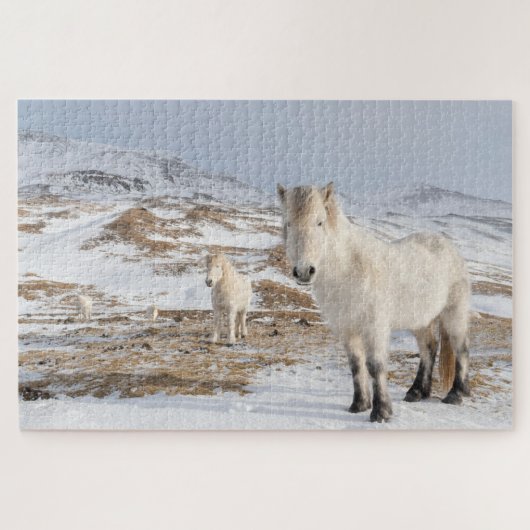 IJslandse paarden | Blonduos, IJsland Legpuzzel (Horizontaal)