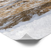 IJslandse paarden | Blonduos, IJsland Poster (Hoek)