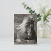 IJslandse paarden Briefkaart (Staand voorkant)
