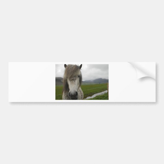 IJslandse paarden Bumpersticker (Voorkant)