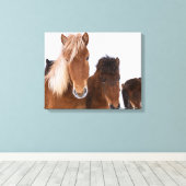 IJslandse paarden Canvas Afdruk (Insitu (Houten vloer))