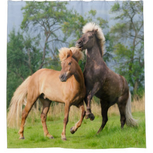 IJslandse paarden die hun rolgordijn ophouden Douchegordijn