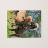 IJslandse paarden die spelen en fokken Legpuzzel (Horizontaal)
