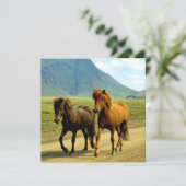 IJslandse paarden Feestdagenkaart (Staand voorkant)