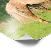 IJslandse paarden Funny Play-opfokpapier Foto Afdruk (Hoek)