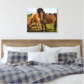 IJslandse paarden grazen Canvas Afdruk (Insitu (Slaapkamer))