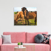 IJslandse paarden grazen Canvas Afdruk (Insitu (Woonkamer))