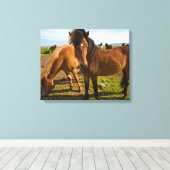 IJslandse paarden grazen Canvas Afdruk (Insitu (Houten vloer))