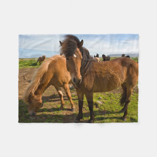 IJslandse paarden grazen Fleece Deken (Voorkant (Horizontaal))