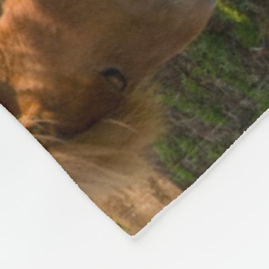 IJslandse paarden grazen Fleece Deken (Hoek)