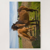 IJslandse paarden grazen Legpuzzel (Verticaal)