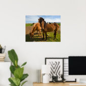 IJslandse paarden grazen Poster (Thuiskantoor)