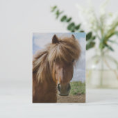 IJslandse paarden III Briefkaart (Staand voorkant)