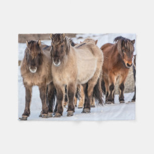 IJslandse paarden in de winter bij Höfn, IJsland Fleece Deken