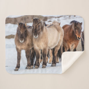 IJslandse paarden in de winter bij Höfn, IJsland Sherpa Deken