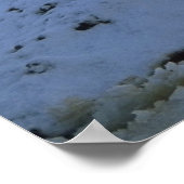 IJslandse paarden in de winter Poster (Hoek)