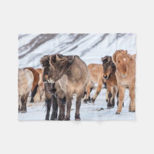IJslandse paarden in de winterperiode nabij de Hof Fleece Deken