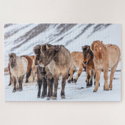IJslandse paarden in de winterperiode nabij de Hof Legpuzzel (Horizontaal)