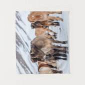 IJslandse paarden in de winterperiode nabij de Hof Wandkleed (Voorkant)