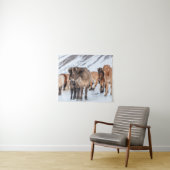 IJslandse paarden in de winterperiode nabij de Hof Wandkleed (In Situ (horizontaal))