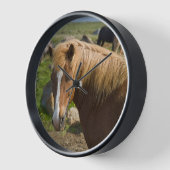 IJslandse paarden in het noordoosten van IJsland (Hoek)