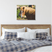 IJslandse paarden in het noordoosten van IJsland Canvas Afdruk (Insitu (Slaapkamer))