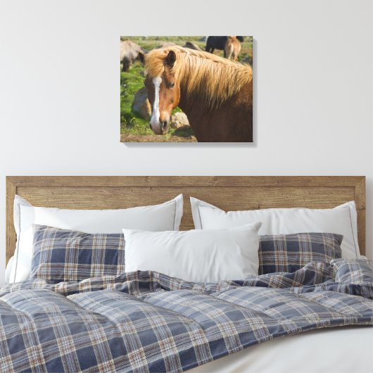 IJslandse paarden in het noordoosten van IJsland Canvas Afdruk (Insitu (Slaapkamer))
