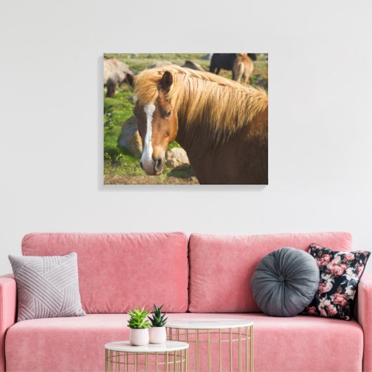 IJslandse paarden in het noordoosten van IJsland Canvas Afdruk (Insitu (Woonkamer))