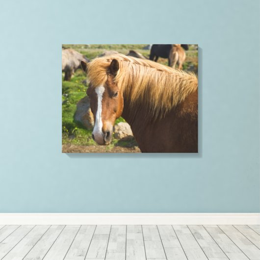 IJslandse paarden in het noordoosten van IJsland Canvas Afdruk (Insitu (Houten vloer))