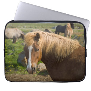 IJslandse paarden in het noordoosten van IJsland Laptop Sleeve