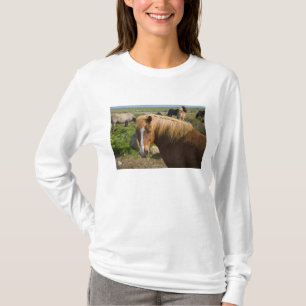 IJslandse paarden in het noordoosten van IJsland. T-shirt