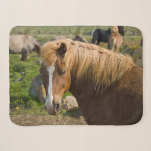IJslandse paarden in Noordoost-IJsland Sherpa Deken