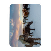 IJslandse Paarden in Sneeuw Magneet (Verticaal)