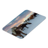 IJslandse Paarden in Sneeuw Magneet (Linkerzijde)