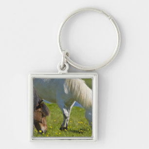 IJslandse paarden in westelijk IJsland. Sleutelhanger